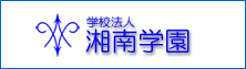 提供