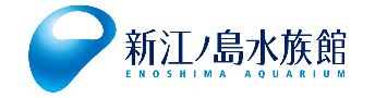 株式会社 新江ノ島水族館